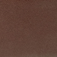 Cortefiel Cinturón liso elastico Dark brown