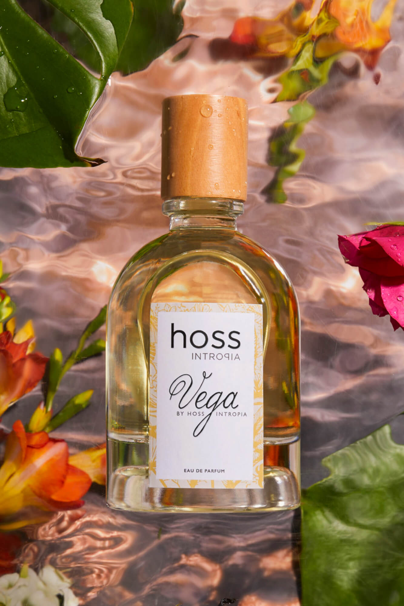 Marca Hoss Hoss Intropia Puntos De Venta Perfume Hoss Intropia